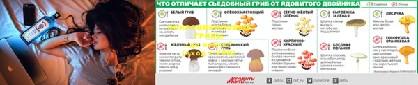 дмт Балахна