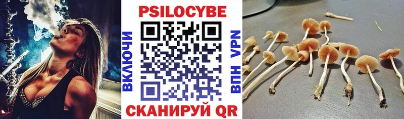 Галлюциногенные грибы Magic Shrooms  магазин    Курчатов 